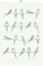 Handtuch Sitting Birds-04 35 x 50 cm